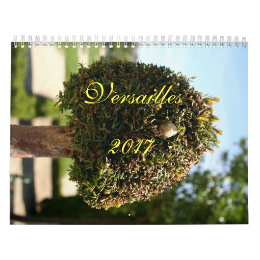 Agenda van Versailles 2017 Kalender (Hoes)