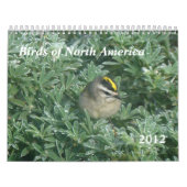 Agenda van vogels 2012 kalender (Hoes)
