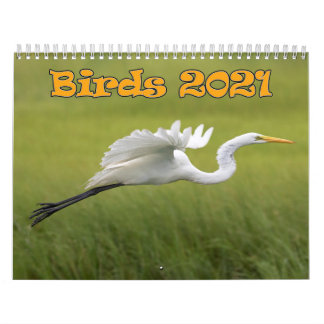 Agenda van vogels 2021 kalender