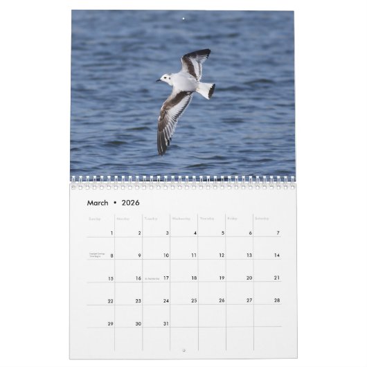 Agenda vogels 2023 kalender (Mar 2026)