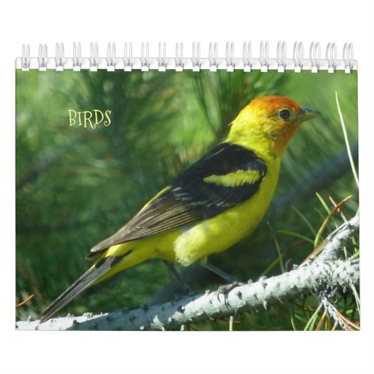 Agenda vogels voor 2017 kalender (Hoes)