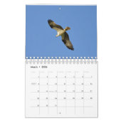 Agenda vogels voor 2017 kalender (Mar 2026)