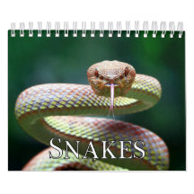 Agenda voor Collecties
