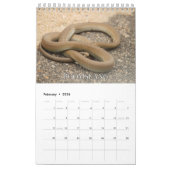 Agenda voor Collecties Kalender (Feb 2026)