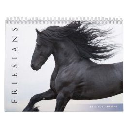 Agenda voor Friesian Horses Kalender