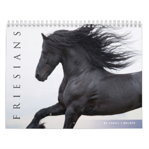 Agenda voor Friesian Horses Kalender