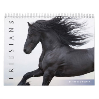 Agenda voor Friesian Horses Kalender