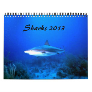 Agenda voor haaien 2013 kalender