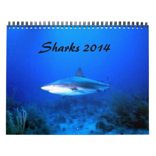 Agenda voor haaien 2014 kalender (Hoes)