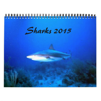Agenda voor haaien 2015 kalender