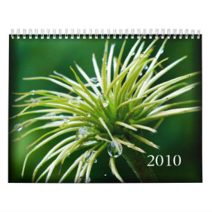 Agenda voor kleurenfotografie 2010 kalender