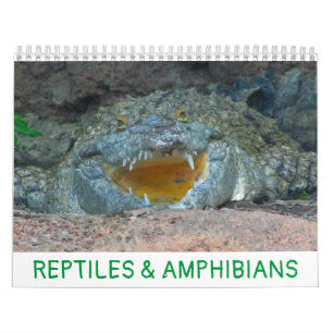 Agenda voor reptielen en amfibieën kalender