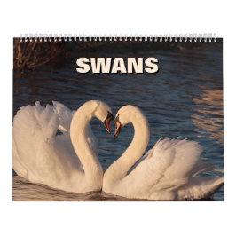 Agenda voor swans kalender