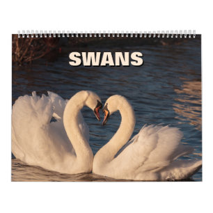 Agenda voor swans kalender