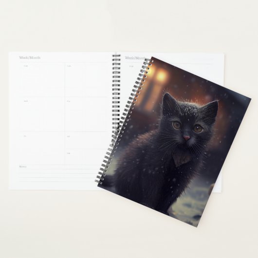 Agendas Black cat (Display)