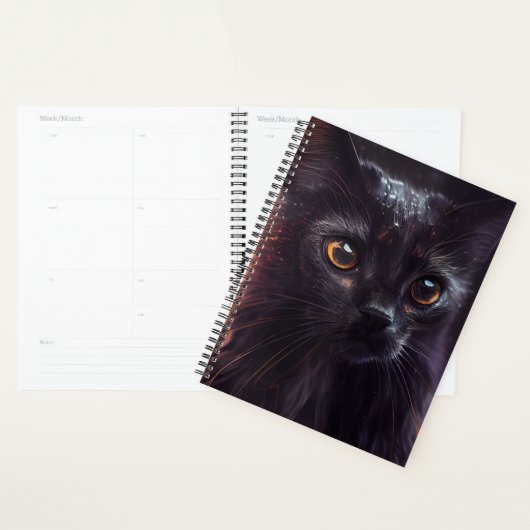 Agendas Black cat (Display)