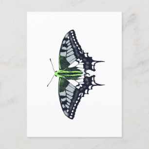 Agender Flag Swallowtail Butterfly Briefkaart
