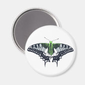 Agender Flag Swallowtail Butterfly Magneet (Voorkant / Achterkant)