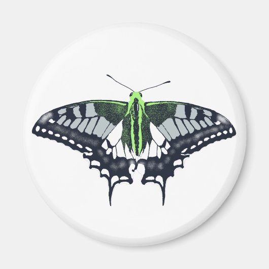 Agender Flag Swallowtail Butterfly Magneet (Voorkant)