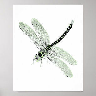 Agender Pride Dragonfly Art Poster