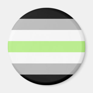 Agender Pride-vlag Magneet