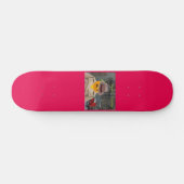 Agent Orange Funnycomb Skateboard (Horizontaal)