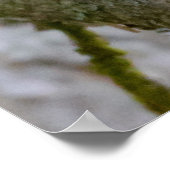 Agile Brown Squirrel in Alberta Poster (Hoek)