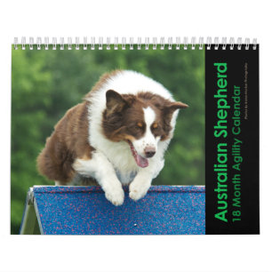 Agilité australienne de berger calendrier mural d