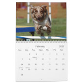 Agilité australienne de berger calendrier mural de (Feb 2027)