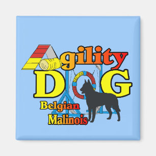 Agility Belgium Malinois Gifts Magneet