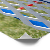 Agility Border Collie Poster (Hoek)