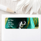 Agility Boston Terrier Adresetiketten Etiket (Insitu)