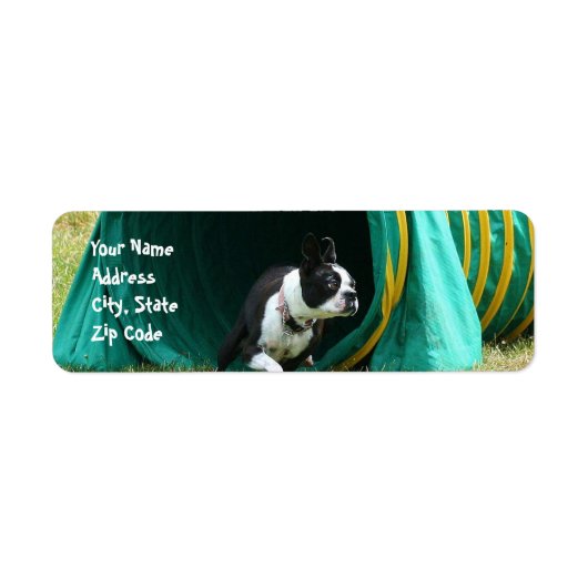 Agility Boston Terrier Adresetiketten Etiket (Voorkant)