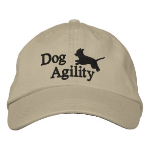 Agility Chihuahua Pet