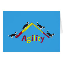 Agility dog