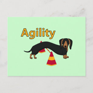 Agility dog briefkaart