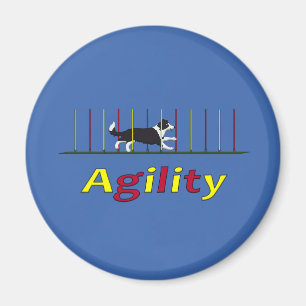 Agility dog magneet