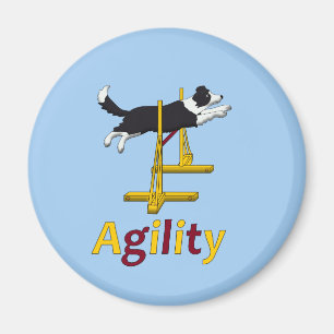 Agility dog magneet