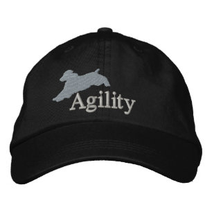 Agility Engelse Springer Spaniel Pet