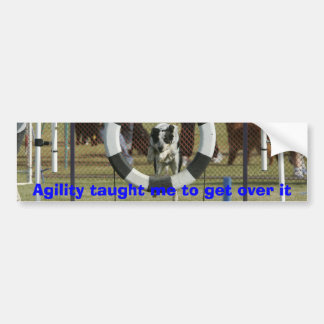 Agility heeft me geleerd eroverheen te komen bumpersticker