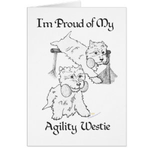 Agility Westie
