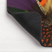 Aglais urticae muismat (Hoek)