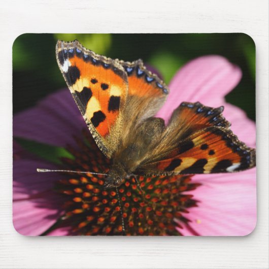 Aglais urticae muismat (Voorkant)