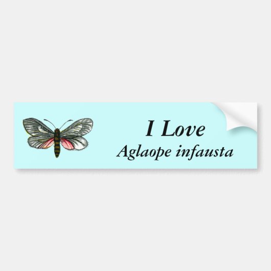 Aglaope infausta - Almond-Tree Leaf Skeletonizer Bumpersticker (Voorkant)