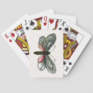 Aglaope infausta - Almond-Tree Leaf Skeletonizer Pokerkaarten