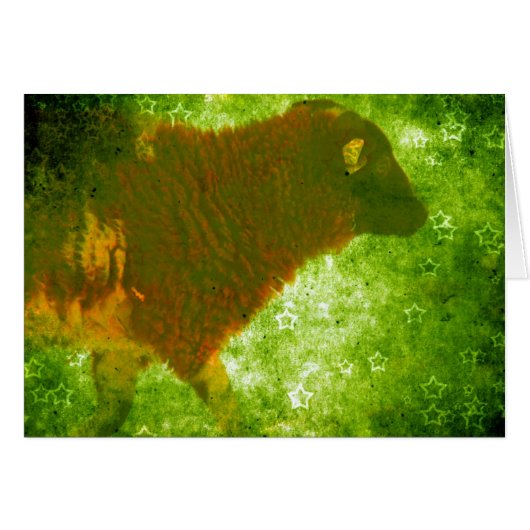 Agneau dans un champ d'étoiles (Devant horizontal)