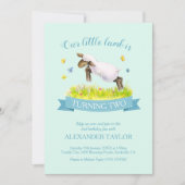 Agneau de printemps sauter mignon invitations de 2 (Devant)