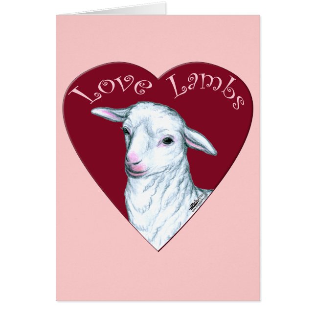 Agneaux d'amour (Devant)