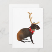 Agouti - carte de vacances (Devant / Derrière)