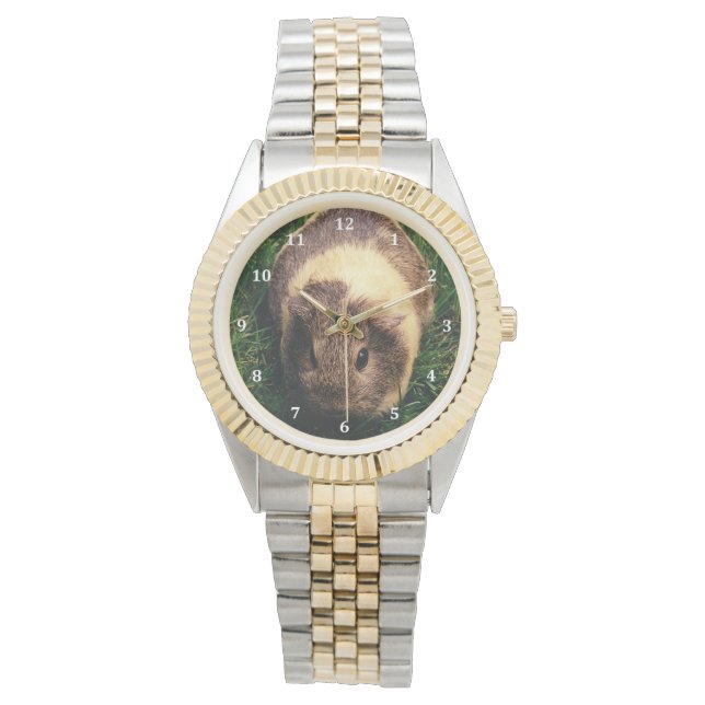 Agouti Guinea Pig in Grass Horloge (Voorkant)